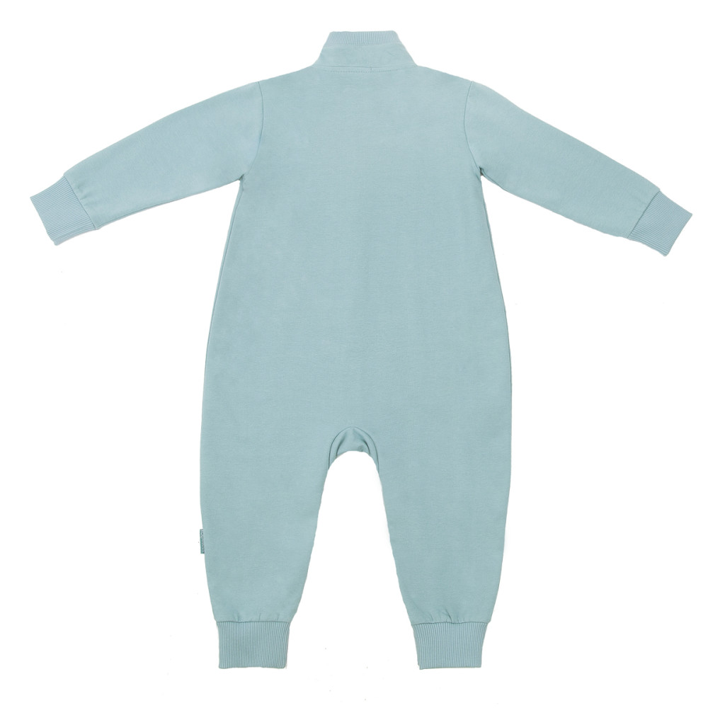 Комбинезон на молнии "Птичка" для мальчика