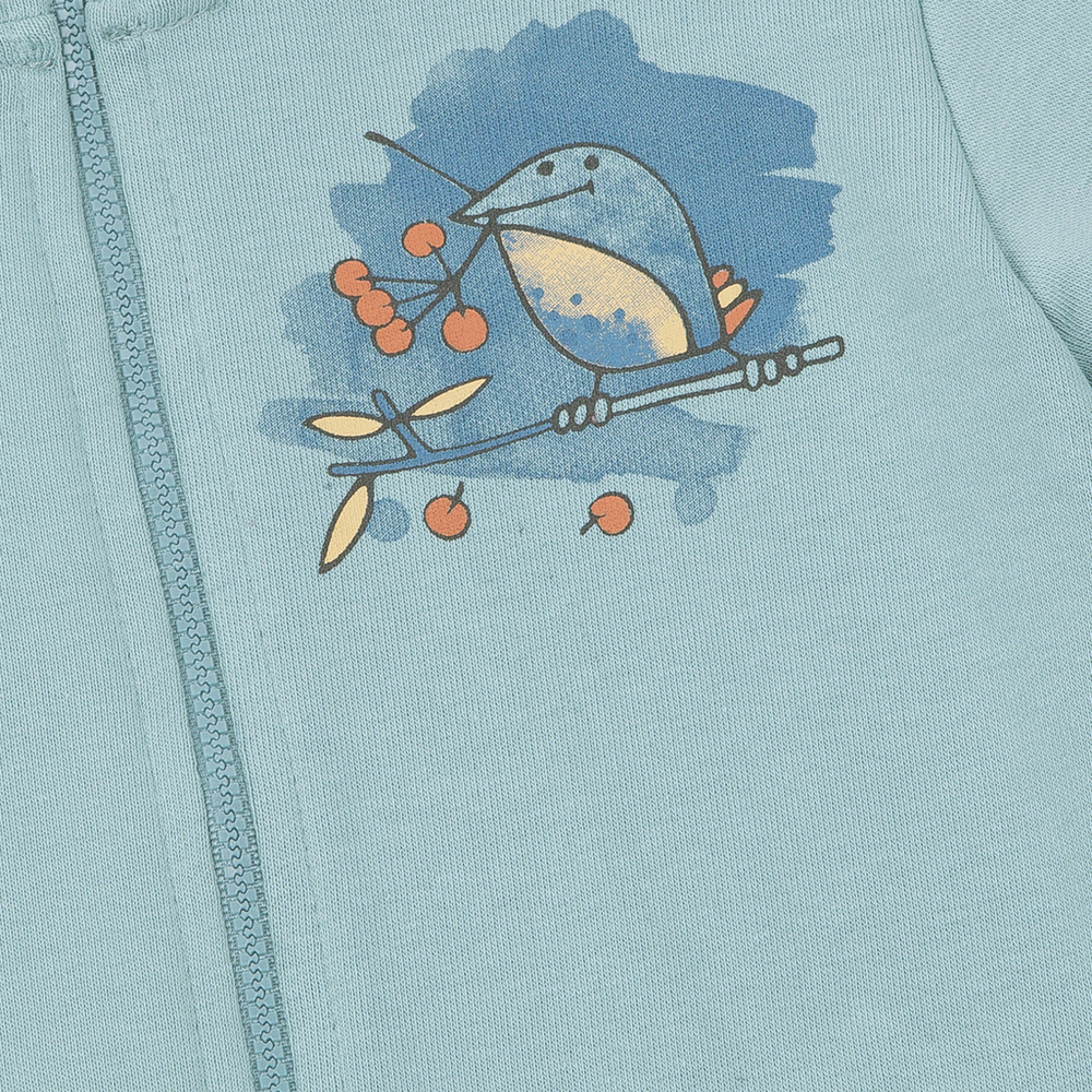 Комбинезон на молнии "Птичка" для мальчика