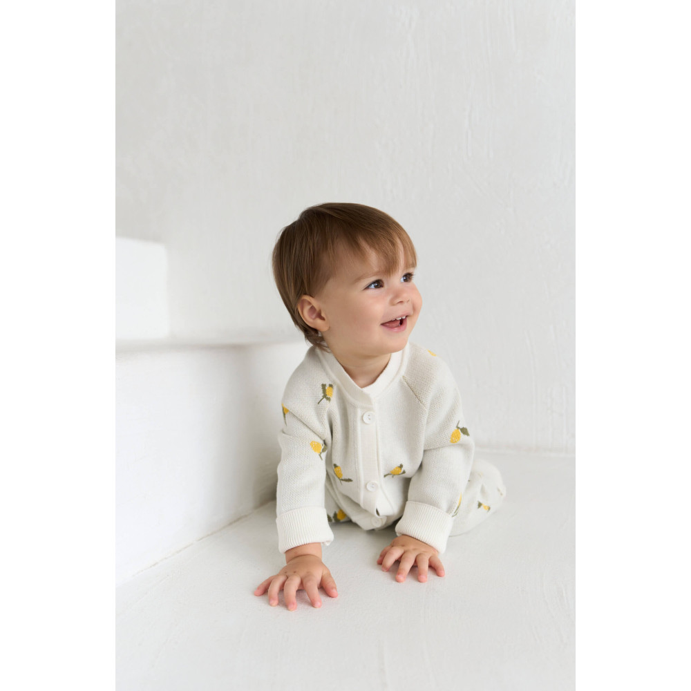 Вязаный комбинезон для малыша, Лимончики
